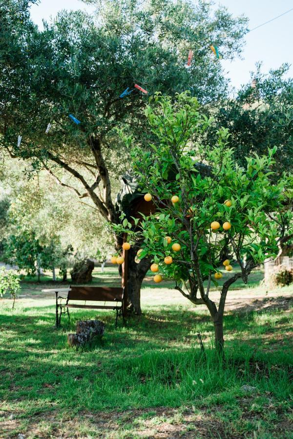 Villa Kallithea بارغا المظهر الخارجي الصورة