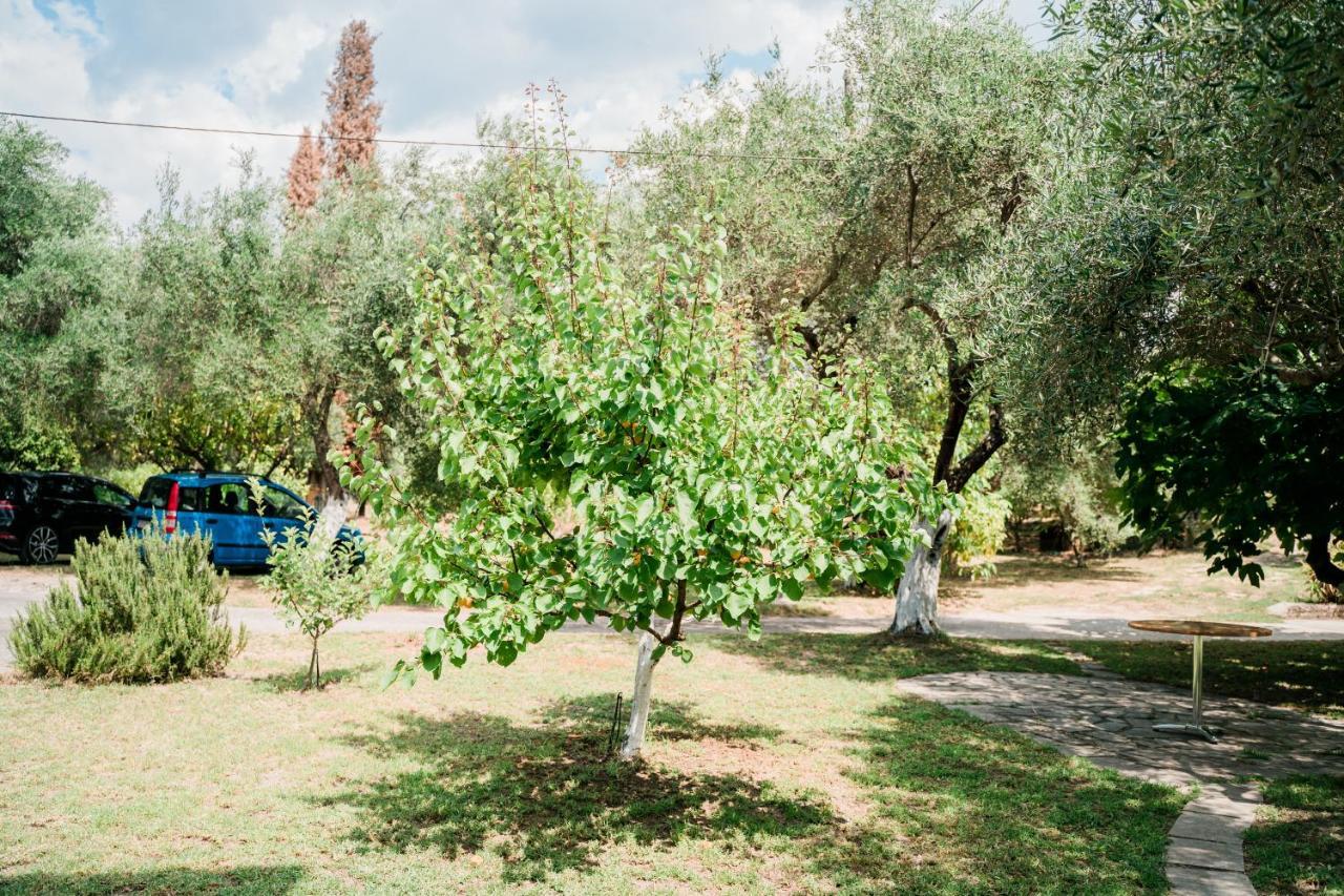 Villa Kallithea بارغا المظهر الخارجي الصورة